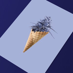 Icecreame Flowered Postcard Trippy Flower Wallart Decorative Coffee Shop Wall Trippy Decorating Idea Marijuana Art Work Cute Weed Decoration image 6