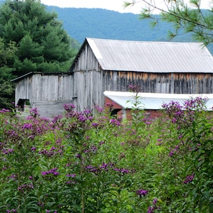 Nature Photography, Wildflowers, Old Barn, Digital Image For Sale, Wall Art, Photo Download, Scenic Landscape Photo, Home Decor, Rural, Barn