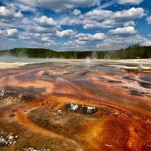 Nature Photography, Yellowstone, Digital Image For Sale, Wall Art, Photo Download, Scenic Landscape Photo, DIY Home Decor, Hot Springs, WY