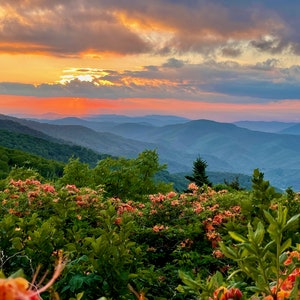 Nature Photography, Sunset, Flowers, Mountains, Digital Image For Sale, Wall Art, Photo Download, Scenic Landscape Photo, Home Decor, TN, NC