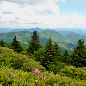 Nature Photography, Flowers, Mountains, Digital Image For Sale, Wall Art, Photo Download, Scenic Landscape Photo, Home Decor, Rhododendron