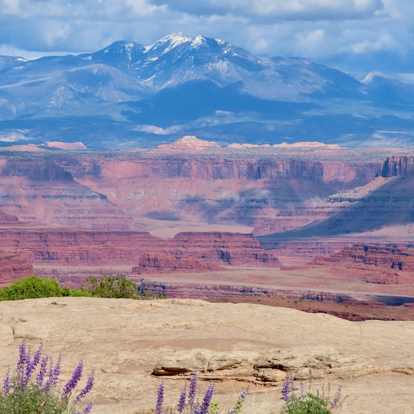 Nature Photography, Canyonlands, Digital Image For Sale, Wall Art, Photo Download, Scenic Landscape Photo, Home Decor, Moab, mountains, Utah