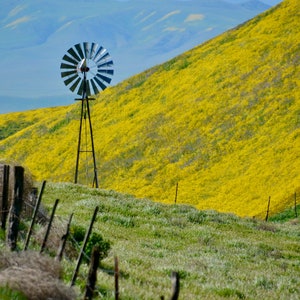 Nature Photography, Wildflowers, Windmill, Digital Images For Sale, Wall Art, Photo Download, Scenic Landscape Photo, Home Decor, Mountains