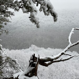 Nature Photography, Snow, Cliff, Digital Images For Sale, Wall Art, Photo Download, Scenic Landscape Photo, Home Decor, Trees, Winter, TN