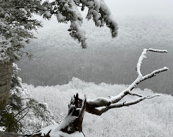 Nature Photography, Snow, Cliff, Digital Images For Sale, Wall Art, Photo Download, Scenic Landscape Photo, Home Decor, Trees, Winter, TN