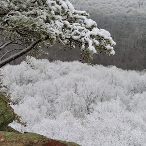 Nature Photography, Snow, Cliff, Digital Images For Sale, Wall Art, Photo Download, Scenic Landscape Photo, Home Decor, Trees, Winter, TN