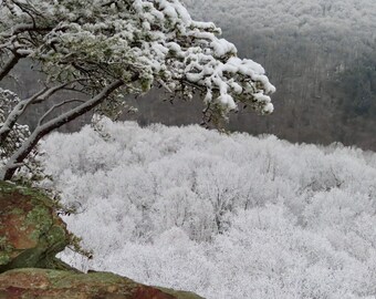 Nature Photography, Snow, Cliff, Digital Images For Sale, Wall Art, Photo Download, Scenic Landscape Photo, Home Decor, Trees, Winter, TN