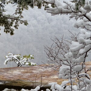 Nature Photography, Snow, Digital Images For Sale, Wall Art, Photo Download, Scenic Landscape Photo, DIY Home Decor, Pine Trees, Winter, TN