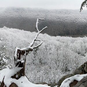 Nature Photography, Snow, Digital Images For Sale, Wall Art, Photo Download, Scenic Landscape Photo, Home Decor, Panorama, Forest, Winter