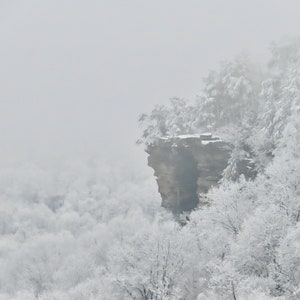 Nature Photography, Snow, Digital Images For Sale, Wall Art, Photo Download, Scenic Landscape Photo, Home Decor, Trees, Cliff, Winter, TN
