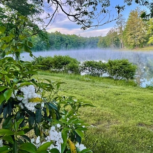 Nature Photography, Lake, Mountain Laurel, Digital Image For Sale, Wall Art, Photo Download, Scenic Landscape Photo, Home Decor, Trees, TN