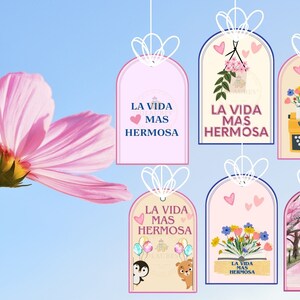 Pu&ograve; includere: Cinque etichette regalo rosa e bianche con il testo "La Vida Mas Hermosa" (La vita pi&ugrave; bella) in spagnolo. Ogni etichetta presenta un'illustrazione diversa, tra cui una casetta per uccelli con fiori, una macchina da scrivere, un libro con fiori, un pinguino e un orso, e una donna che cammina sotto un albero di ciliegio.