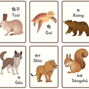 Animal Flashcards Learn Mandarin Chinese Homeschool Nursery Preschool