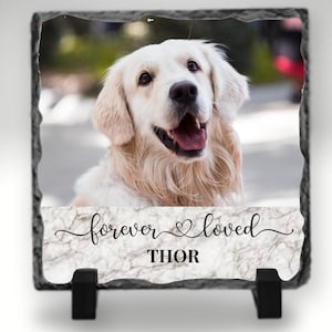 DOG Memorial Plaque, PET MEMORIAL Gift, Photo Rock Slate, Pet Loss Gift, Cat Memorial Gift, Pet Sympathy Gift, Loss of Pet, Photo Plaque