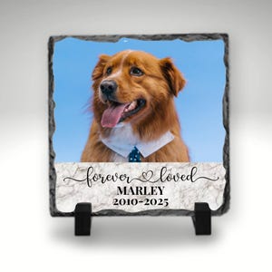 PERSONALIZED PET MEMORIAL Plaque, Photo Rock Slate, Pet Loss Gift, Cat Memorial Gift, Pet Sympathy Gift, Loss of Pet, Photo Plaque