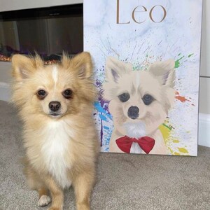 Custom Pet Portraits