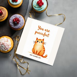 Valentine greeting card displayed next to cupcakes. The card features an orange cat illustration and the phrase You are purrrfect.