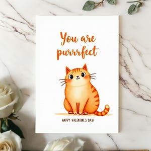 Cute Valentine card displayed on a white surface. The illustration shows a fluffy orange cat with rosy cheeks and the text You are purrrfect.