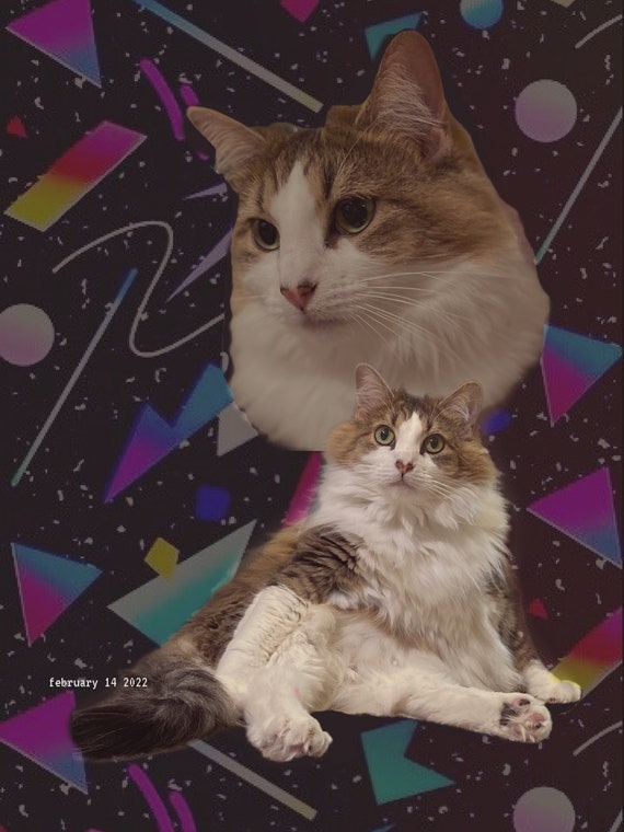 CUSTOM Double Exposure 80s Portrait of 1 Pet - Etsy