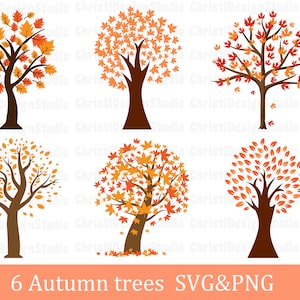 Pacchetto albero autunnale, albero in formato SVG, albero autunnale in formato Svg, clipart albero, albero Png, foglie autunnali in formato Svg, foglie autunnali in formato Svg, file tagliati, Cricut, download digitale