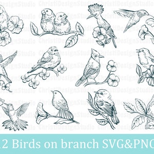 Pacchetto Svg di uccelli, Uccelli sul brunch Svg, Uccelli d'amore Svg, Coppia di uccelli Svg, File di taglio uccello, Sagoma di uccello, Schizzo di uccello Svg, Animale Svg, Cricut
