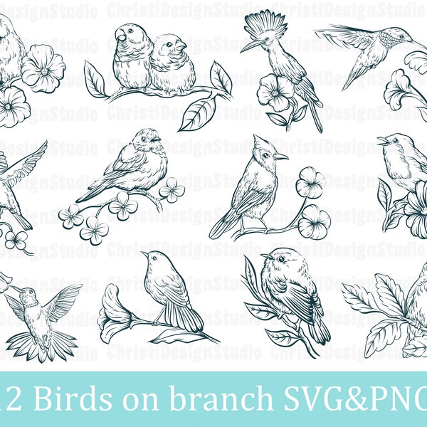 Birds Svg Bundle, Birds On Brunch Svg, Love Birds Svg, Bird Couple Svg, Bird Cut File, Bird Silhouette, Bird Sketch Svg, Animal Svg, Cricut