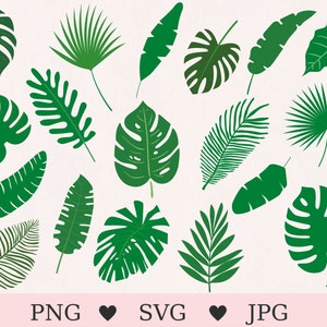 Tropical leaves svg, leaves svg, leaves bundle svg, monstera leaves svg, palm leaves svg, instant download, cricut, silhouette, cut file