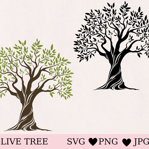 Olive tree svg, tree of life svg, olive tree vector svg, tree silhouette, instant download, digital download, cricut, silhouette, cut file
