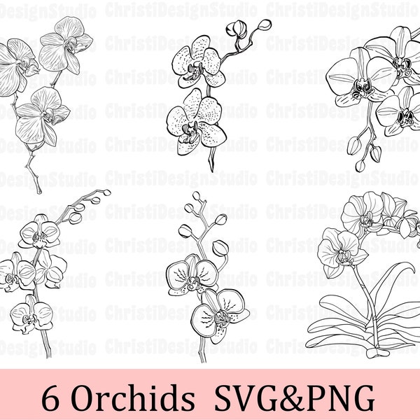 Orchids Svg, Flowers Svg, Orchids Clipart, Floral Svg, Orchid cut file, Flower Cut File, Cricut, Wedding Flowe Svg, Floral Cut File, Digital