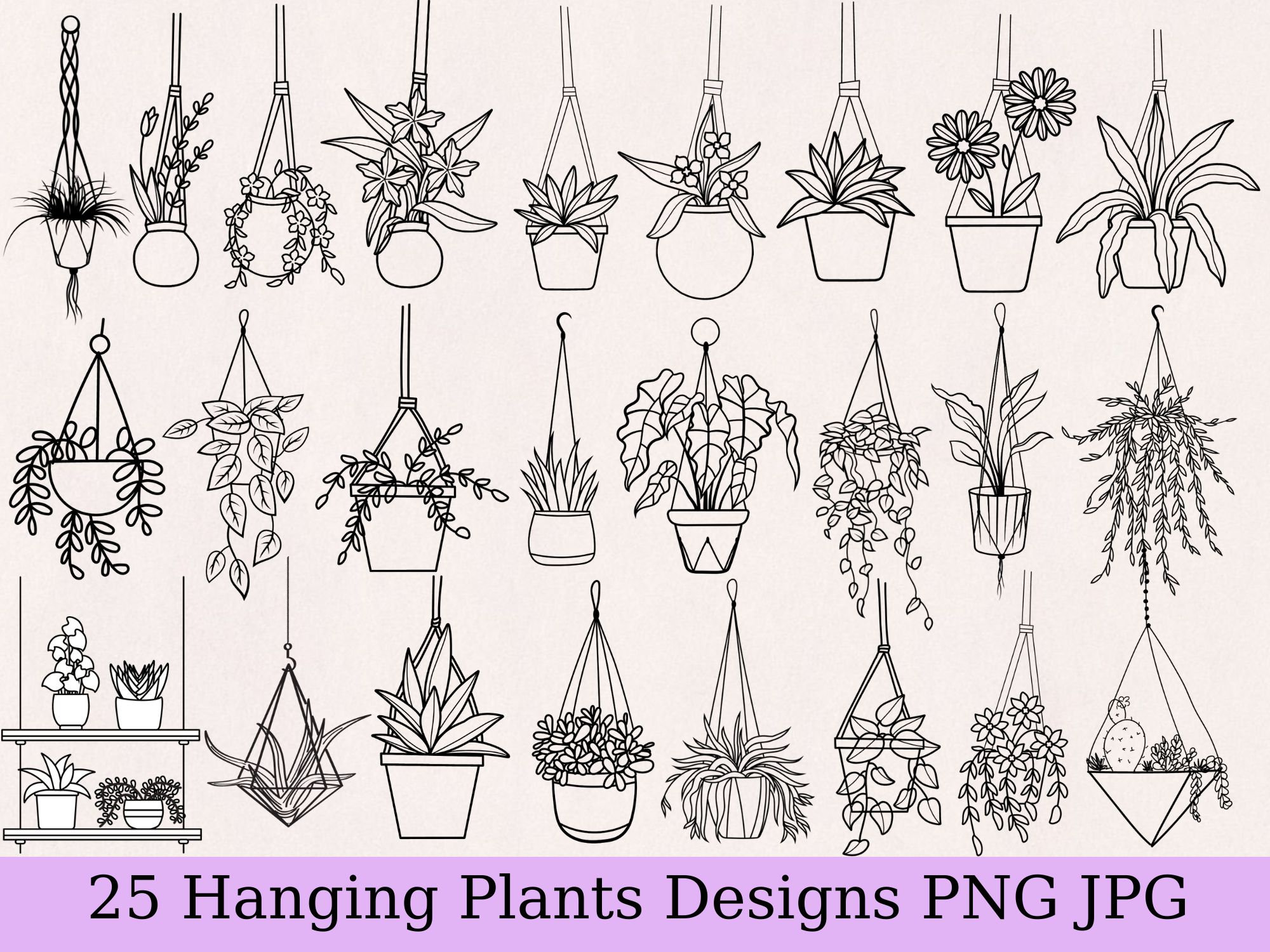 Hanging Plants Png Hanging Plants Bundle Hand Drawn Plants Etsy