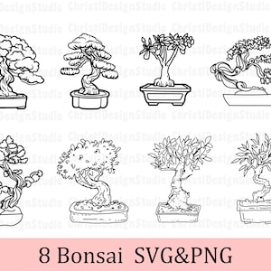 Bonsai Tree Svg, Bonsai Cut File, Bonsai Clipart, Plante en pot Svg, Evergreen Svg, Plantes d’intérieur Svg, Bonsai Png, Cricut, Plantes Cut File