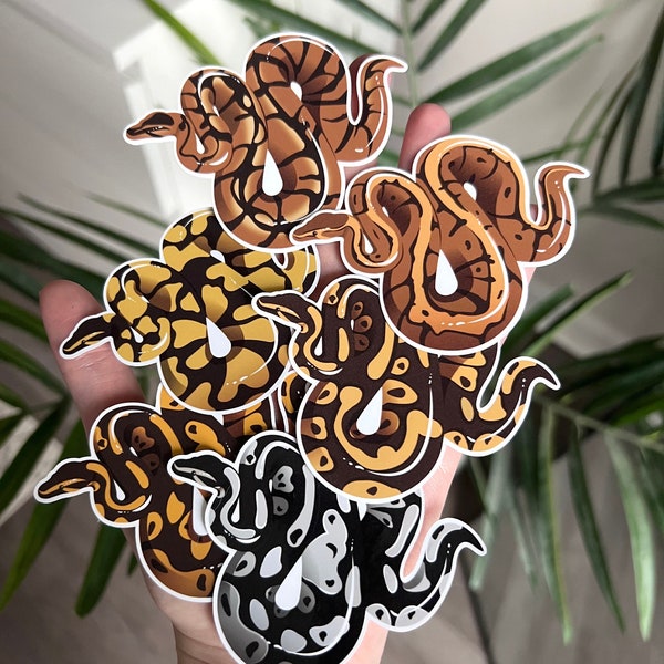 Ball Python - Etsy