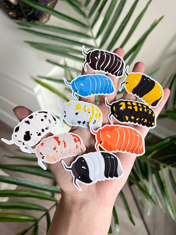 Isopod Stickers 9 Colors Panda Dairy Cow Rubber Ducky Etsy