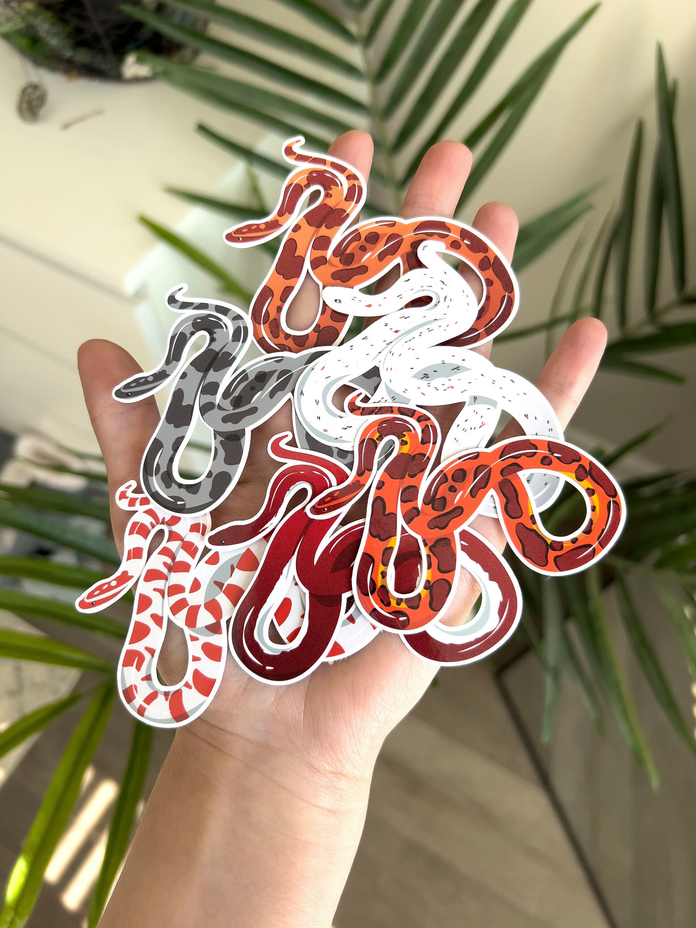 Corn Snake Stickers 6 Morphs Normal Charcoal Candy Cane - Etsy