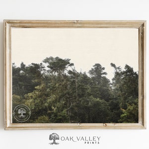 Pacific Northwest - Washington - Puget Sound - PNW - landscape art print - Whidbey Island art print - Pacific Northwest trees - horizontal