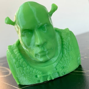 The Shrock Dwayne the Rock Johnson Shreck Crossover Tiktok Toy Bust ...