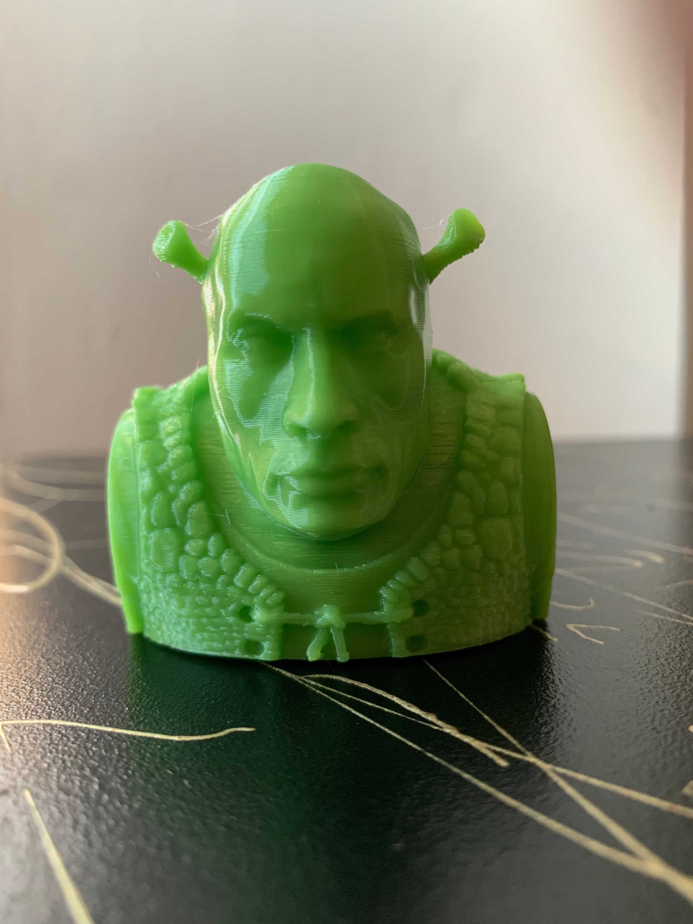 The Shrock Dwayne the Rock Johnson Shreck Crossover Tiktok - Etsy Hong Kong