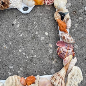 May include: A white rectangular frame decorated with a variety of seashells in shades of orange, white, and brown. The frame is set against a gray, textured surface, showcasing the natural colors and textures of the shells.