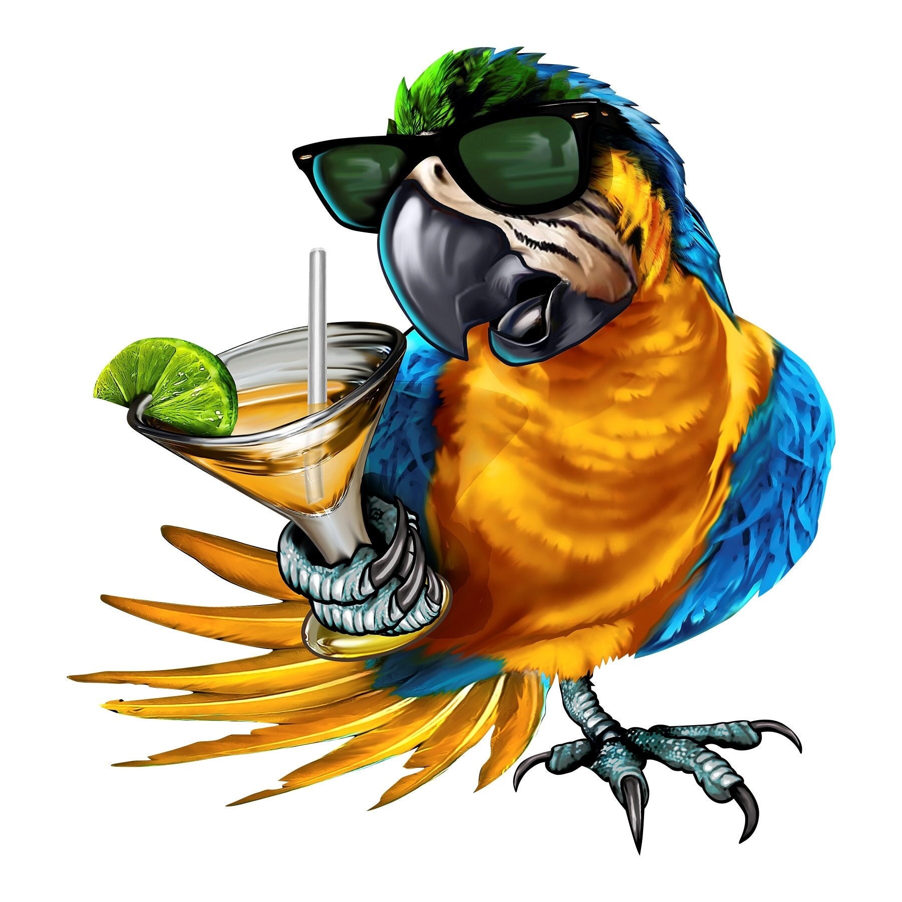 Parrot Margarita Clipart