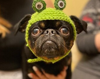 PATTERN!! Frog Hat for Dogs