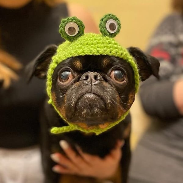 MODÈLE!! Chapeau Grenouille pour Chien