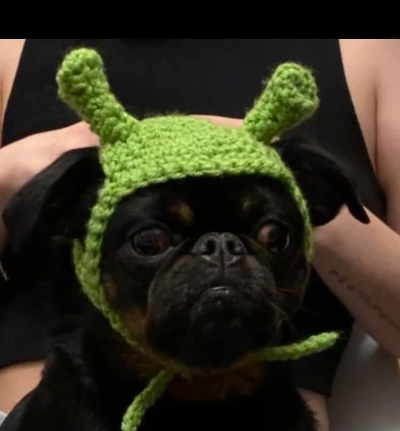 PATTERN Shrek Hat for Dogs image 1