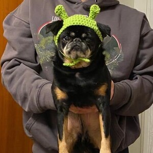 PATTERN Shrek Hat for Dogs image 2