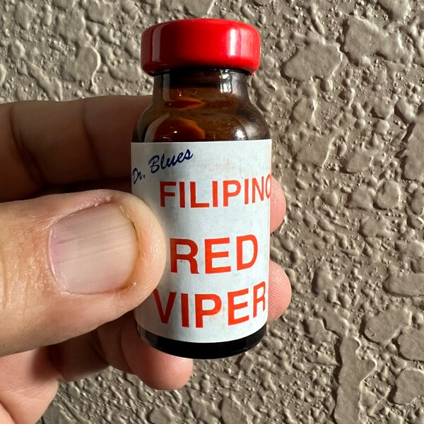 Filipino Red Viper