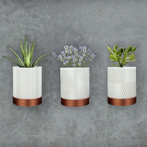 May include: Three white ceramic planters with copper colored rims, each holding a different type of plant. The plants are a succulent, a lavender bush, and a small green bush.