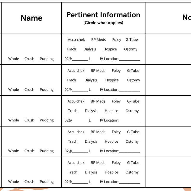 Nursing Report Sheet LTC / 5 Patient / SNF / Nursing Report / Skilled