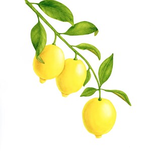 Original Watercolor Painting entitled "Lovely Lemons", 11x15".