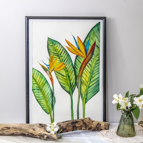 Tableau Aquarelle originale de Fleur de Paradis (Strelitzia reginae)