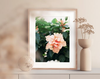 Könnte beinhalten: Ein gerahmter Druck einer pfirsichfarbenen Hibiskusblüte mit grünen Blättern. Der Druck ist in einem hellen Holzrahmen und hängt an einer hellbeigen Wand.