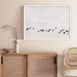 Black and White Palm Tree Print: Hawaii Photography, Minimalist Wall Art, Tropical Home Decor, Framed Palm Print, Horizontal Photo, Tropical